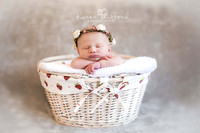 Newborn Photography