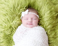 Newborn Photography
