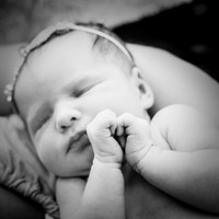 Newborn Photography