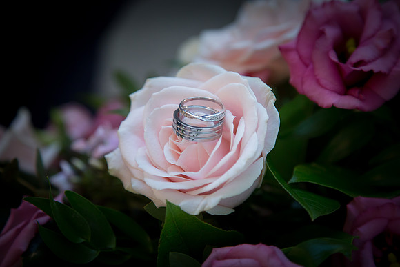 Best Essex Wedding,Newborn, Boudoir, and Portrait by Karen Clifford Photography