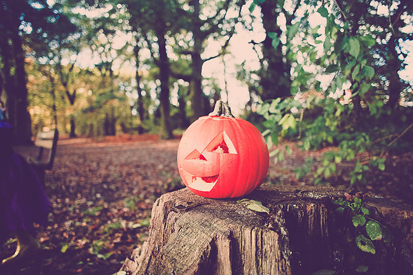 Halloween Photoshoot Fun
