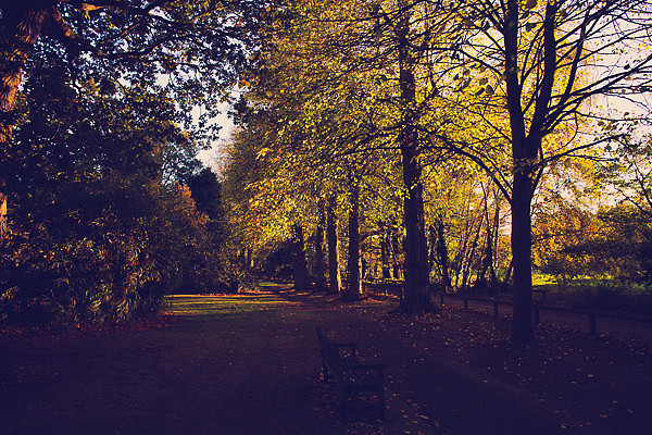 Halloween Photoshoot Fun