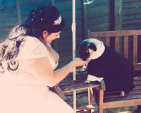 Civil Ceremony held at Rayleigh Windmill Essex